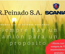 rpeinado-foto-06.jpg