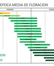 Viveros Gonzalo imagen 1