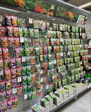 Rural Master Guichainville image 13