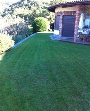 Ciriello Giardini SA Bild 5