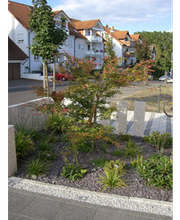 C. Bergmann GmbH Bild 3