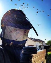 Allô Guêpes 57 image 4