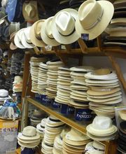 Chapellerie Sire image 18