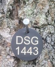 FriedWald Donaueschingen Bild 1