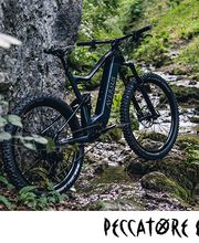 e-motion Bike Center Bild 10