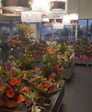 Carrément Fleurs - Fleuriste Cabestany Perpignan 66 - Livraison de fleurs à domicile image 8