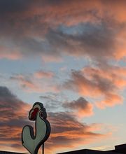 Getränke Hahn AG Bild 8