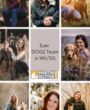 Martin Rütter Wil / St.Gallen & Thurgau Bild 5