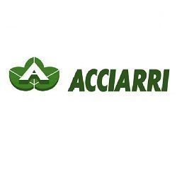 Acciarri Ugo & Nello logo