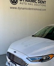 Dynamic Dent Removal image 20