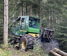 B Bois Forêts image 5