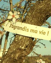 J'Agrandis Ma Vie image 1