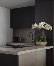 2 Bedroom Deluxe Residence - Mountain View