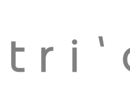 TRI'ACT Coaching professionnel image 5