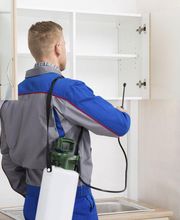 Abando Desinfecciones imagen 20