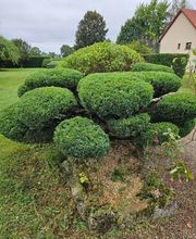 Giboulot Espaces Verts image 1