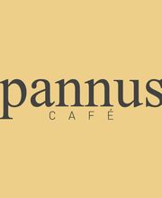 Pannus imagen 1