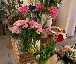 Blumen Müller Bild 6