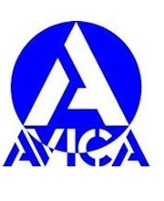 Avica image 2