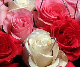 Duguy Fleurs image 1