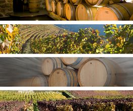 Badan Vins Bild 5