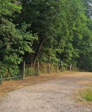 Pension Stechlinsee Bild 8