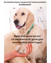 Tierkommunikation-Seelenverständnis Bild 6