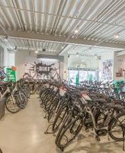 B.O.C. - BIKE & OUTDOOR COMPANY GmbH & Co. KG Bild 8