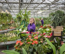Plantencentrum Velden afbeelding 10