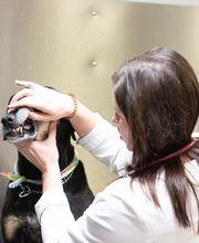 TotalBond Veterinary Hospital at Forestbrook image 2