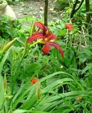 Nugier Bastien image 1