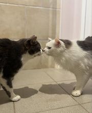 Le Domaine de Noisette image 11