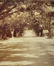 Campbell-Wilson Insurance Agency image 4