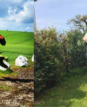 Daniela Wiesel Servicedienst Bild 1