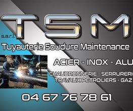 TSM image 4