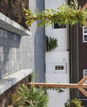 Stark im Garten Bild 22