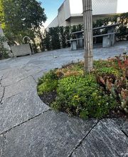 Schneider Gartengestaltung AG Bild 14