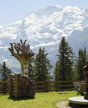 Winteregg-Mürren - Top of Family Bild 5