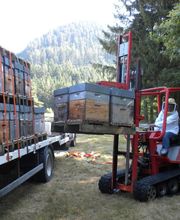 Le Rucher des Hautes Vosges image 8