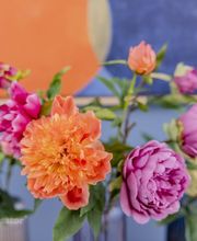 Lebenskatalysator Köln – Paartherapie und Systemische Beratung Bild 6