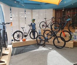 Bechtiger 2 Rad GmbH Bild 3