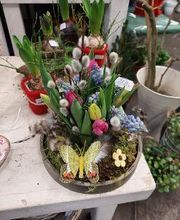 Blumen Dahlmann Bild 6