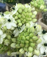 Langjährige Mitarbeiter, die bereits seit vielen Jahren in der grünen Branche tätig sind, setzen sich mit Ihrer Erfahrung und Ihrem Wissen für Ihre Interessen ein und sind jeden Tag aufs neue bestrebt, dem hohen Qualitätsanspruch der Kunden in Bezug auf Frische der Blumen gerecht zu werden und gleichzeitig einen fairen Preis zu bieten.