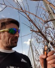 Daniela Wiesel Servicedienst Bild 2