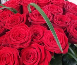 Atelier Cagna-Fleurs Bild 1