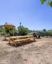 Acqua e Sole image 12