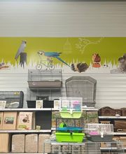 Cap Animal Belley image 6