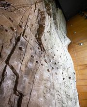 David Lloyd Serrano imagen 7