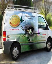 Bourlois Décorations image 2