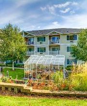 Courtyard Fountains image 11